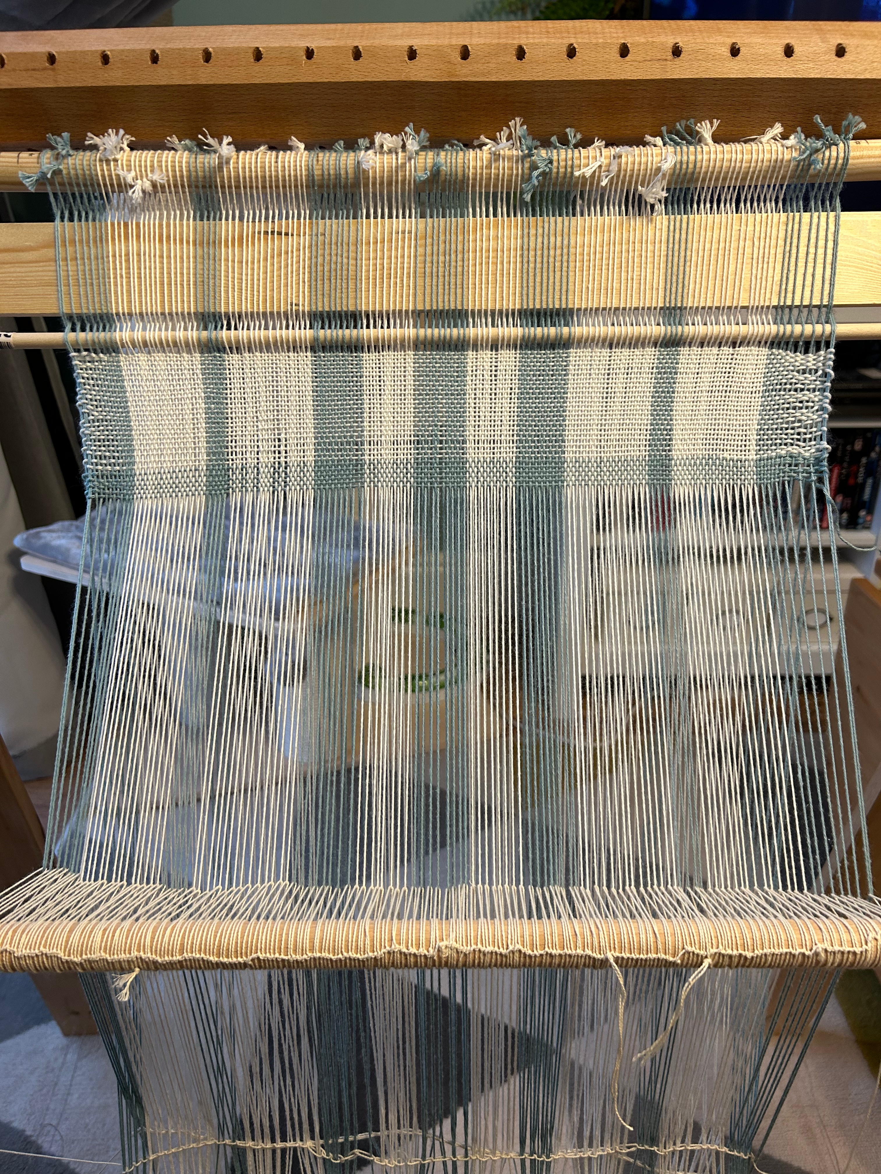 Close-up photo showing warp-weigted loom with weaving in progress. Approximately 5cm has been woven so far. 