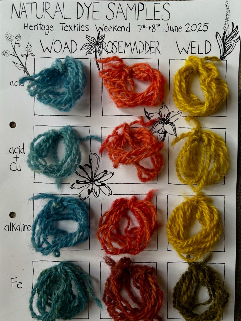 Completed sample card with 12 hand-dyed yarn samples attached. There are four samples each for woad, rose madder, and weld. Each of the four samples was modified with different materials: acid, acid and copper, alkaline, and iron. The samples are arranged in a grid to show the effects of the modifiers with each natural dye. 
